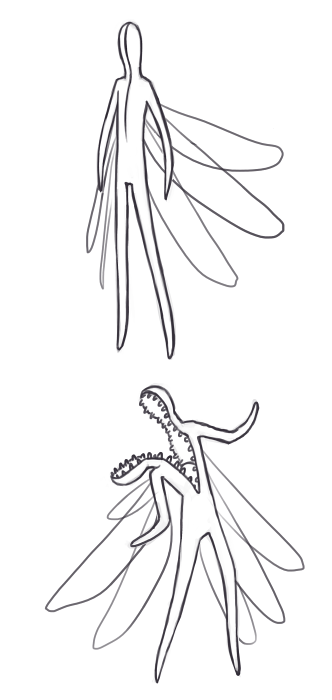 Odd-Wing Fairy