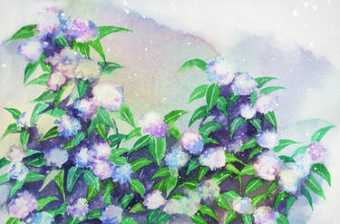 Watercolor: Hydrangea II