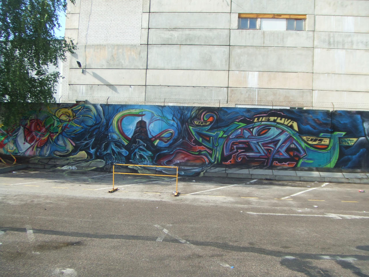 1000 mecio Graffiti