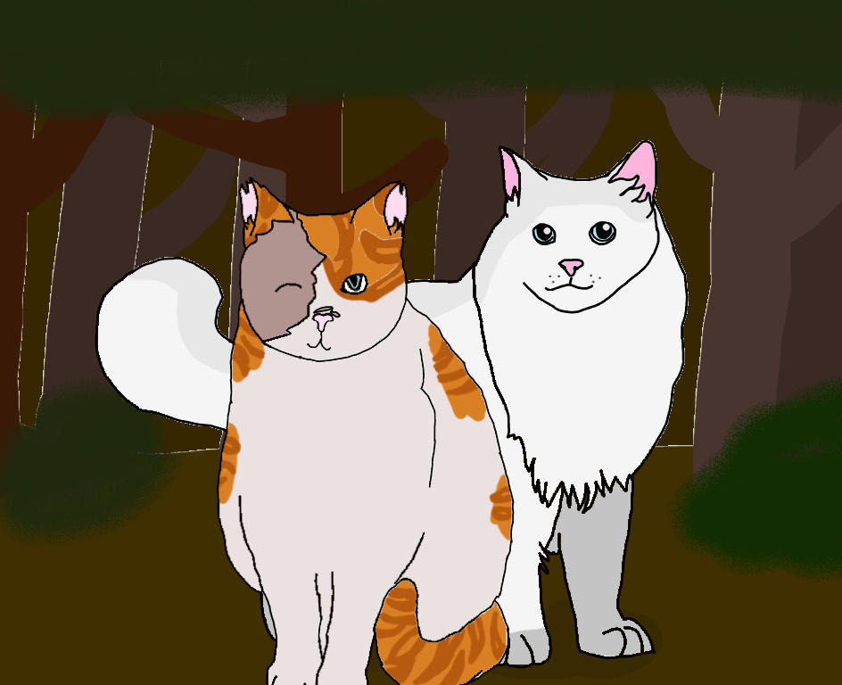 cloudtail and brightheart