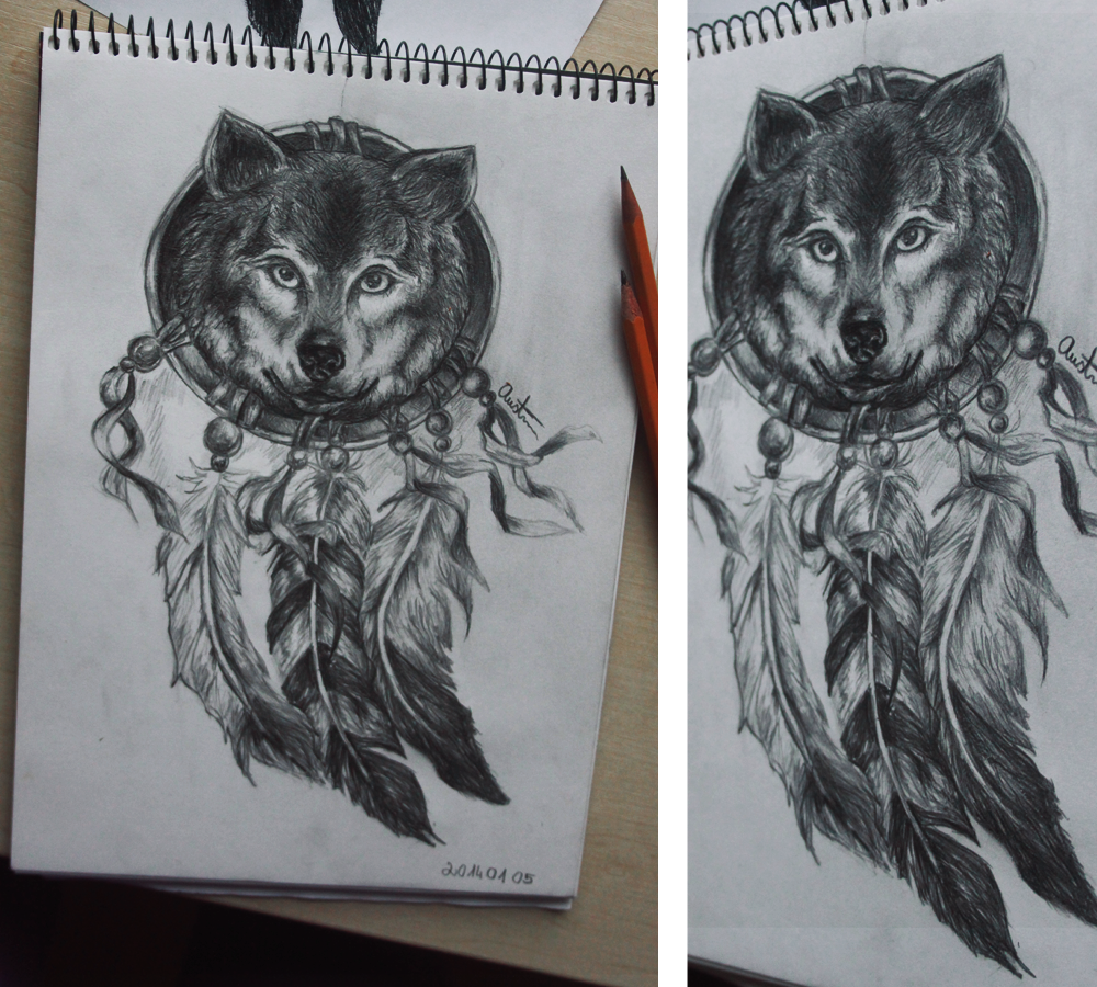 |Wolf Dreams|