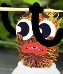 Monster Rambutan Brother Doodland by HillerTownSpongy on DeviantArt