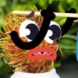 Monster Rambutan Doodland by HillerTownSpongy on DeviantArt