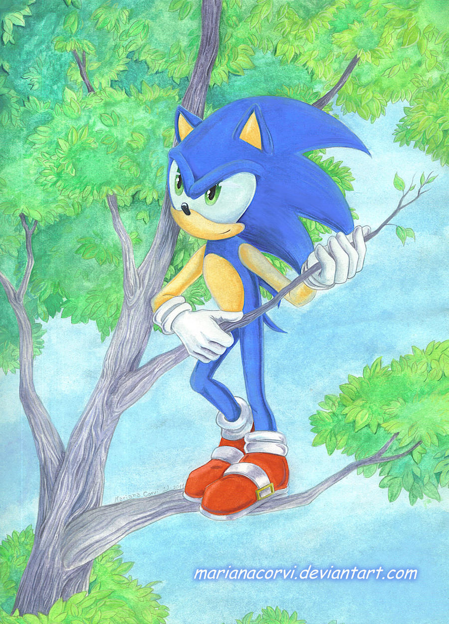 Sonic_in_a_tree by RainWaterfallsZone on DeviantArt