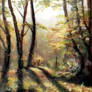 Woodland sunshine