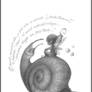 assignment - snail