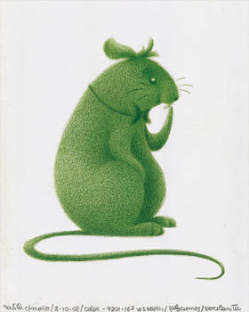 assignment - green rat