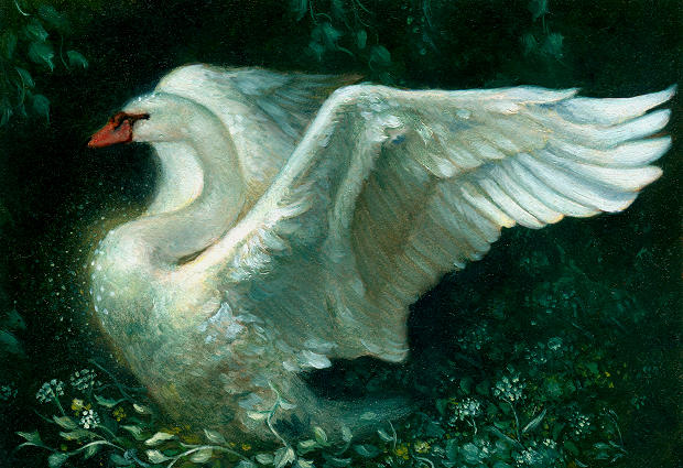 Jewelled Swan - Oil by Kaelycea