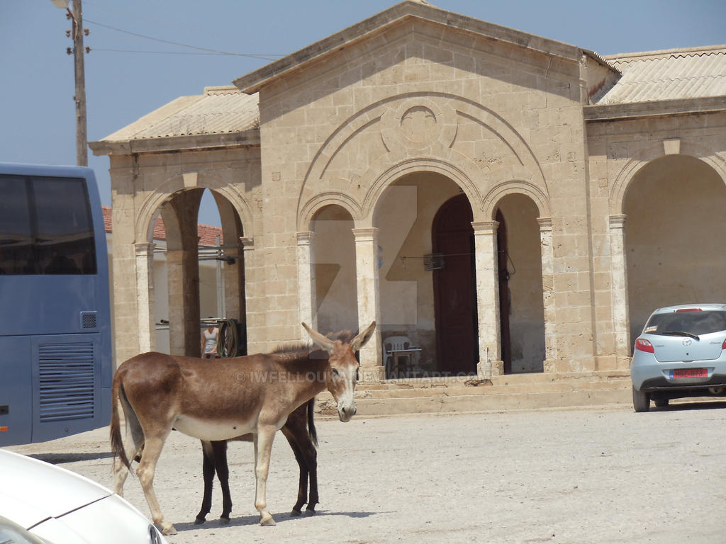 Apostolos Andreas Monastery (No3)