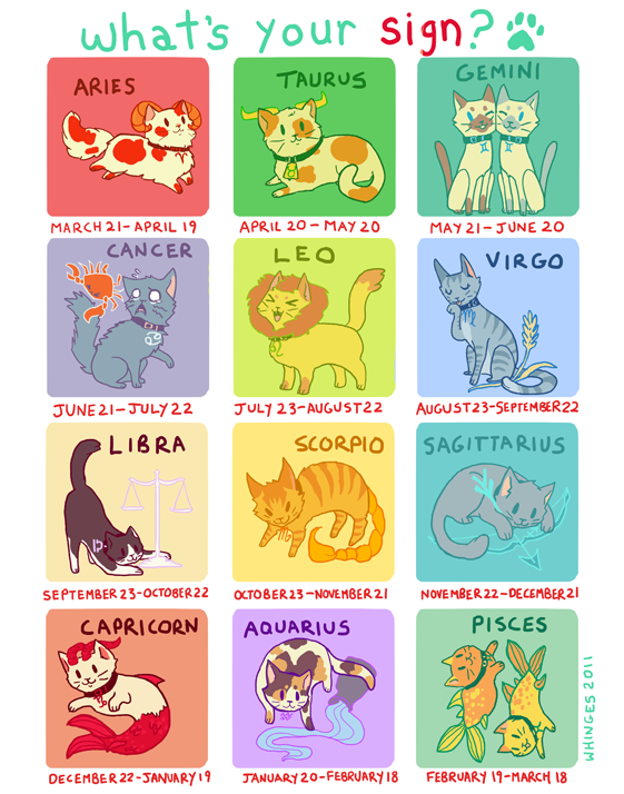 Zodiac Cats