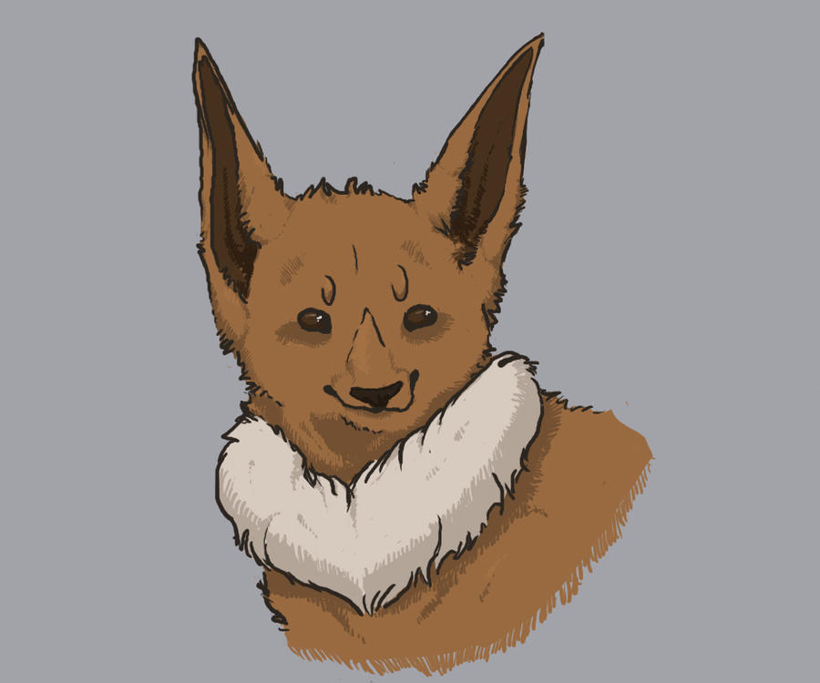 WHO'S THAT POKEMON by shrimpmuffin on DeviantArt