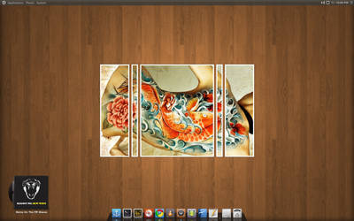 Ubuntu 10.10 Desktop