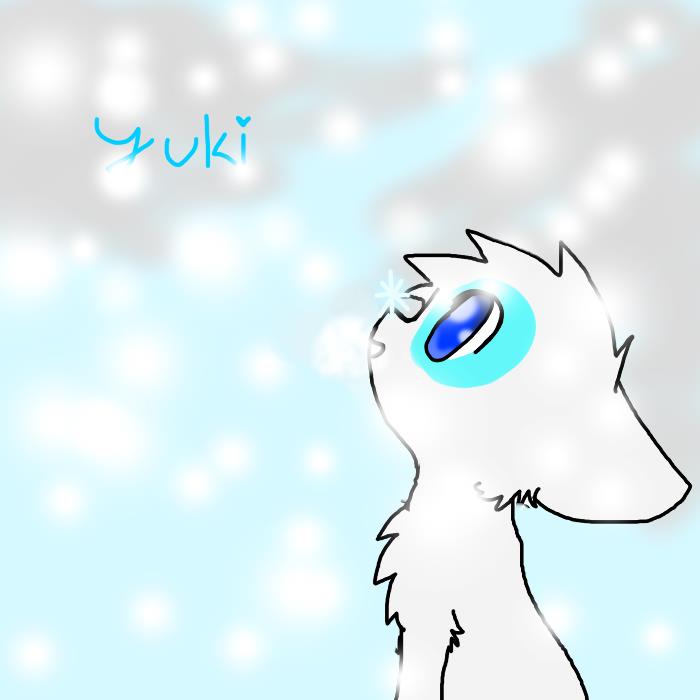 yuki