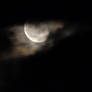 Moonlit Night_1