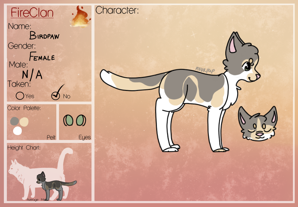 :TWG: FireClan Birdpaw ref