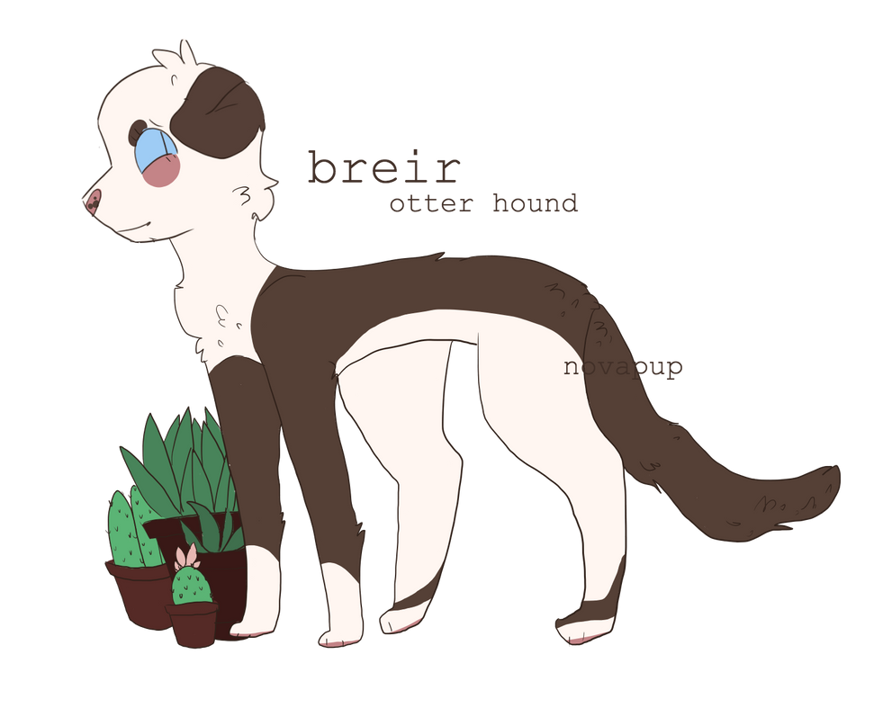 Commission By Novapup On DeviantArt