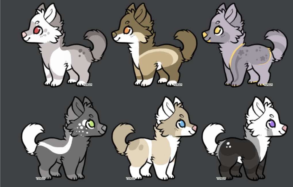AUCTIONS By Novapup On DeviantArt