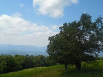 View from a Mountain