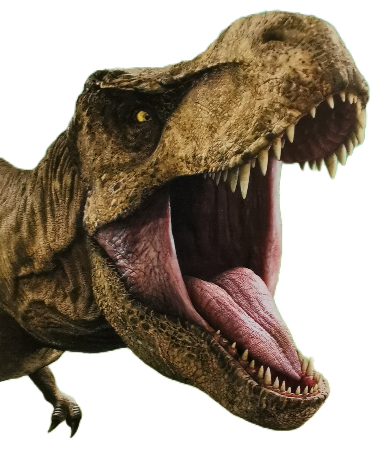 jurassic world Rexy png 2 by DavidsDinos on DeviantArt