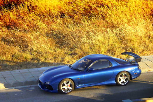 my rx7 in field