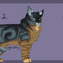 Warrior cat adopts BTA 2/2 Open