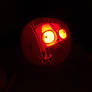 Gir in pumpkin form