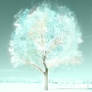 Tree of life 6