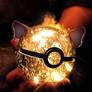 The Pokeball of Charizard