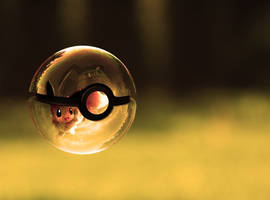 The Pokeball of Eevee