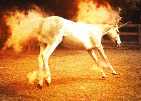 Pokemon #78 Rapidash