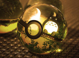 The Pokeball of Totoro