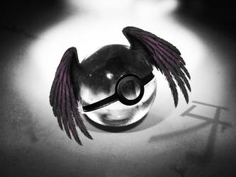 The Pokeball of Fang (Maximum Ride)