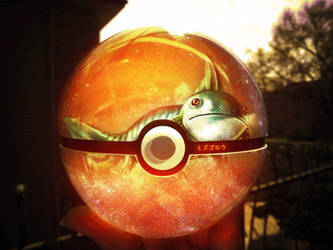 The Pokeball of Mudkip