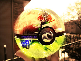 The Pokeball of Midna and Wolf link