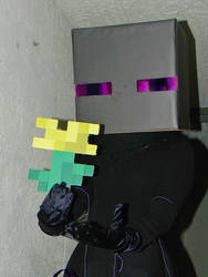 Endergirl 01