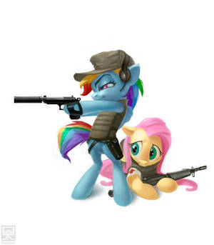 Battlefield ponies