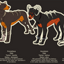 Houndoom Ref Sheet