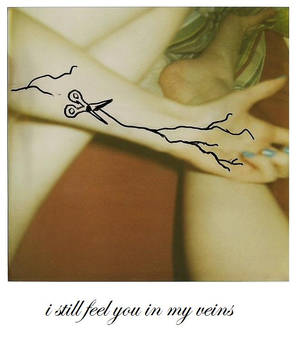 I still feel you in my veins