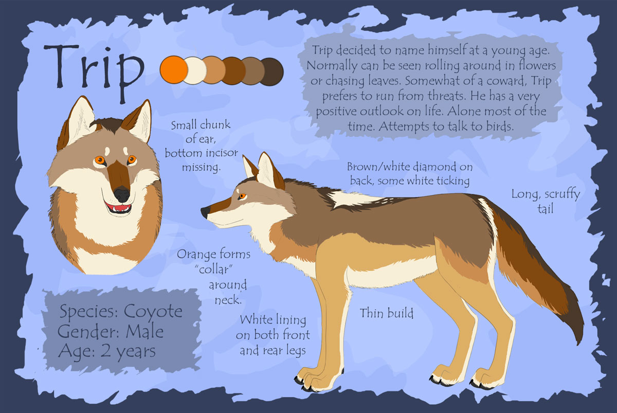 Trip - Reference Sheet