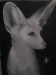 Fennec Fox Drawing by Veyrong