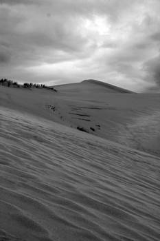 Wind Patterns