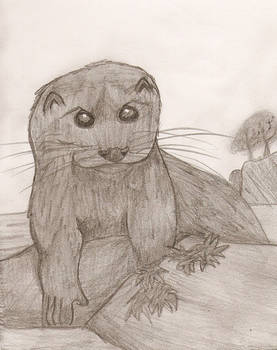 Otter