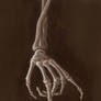 hand