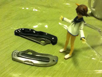 Yoshika with sum Spyderco