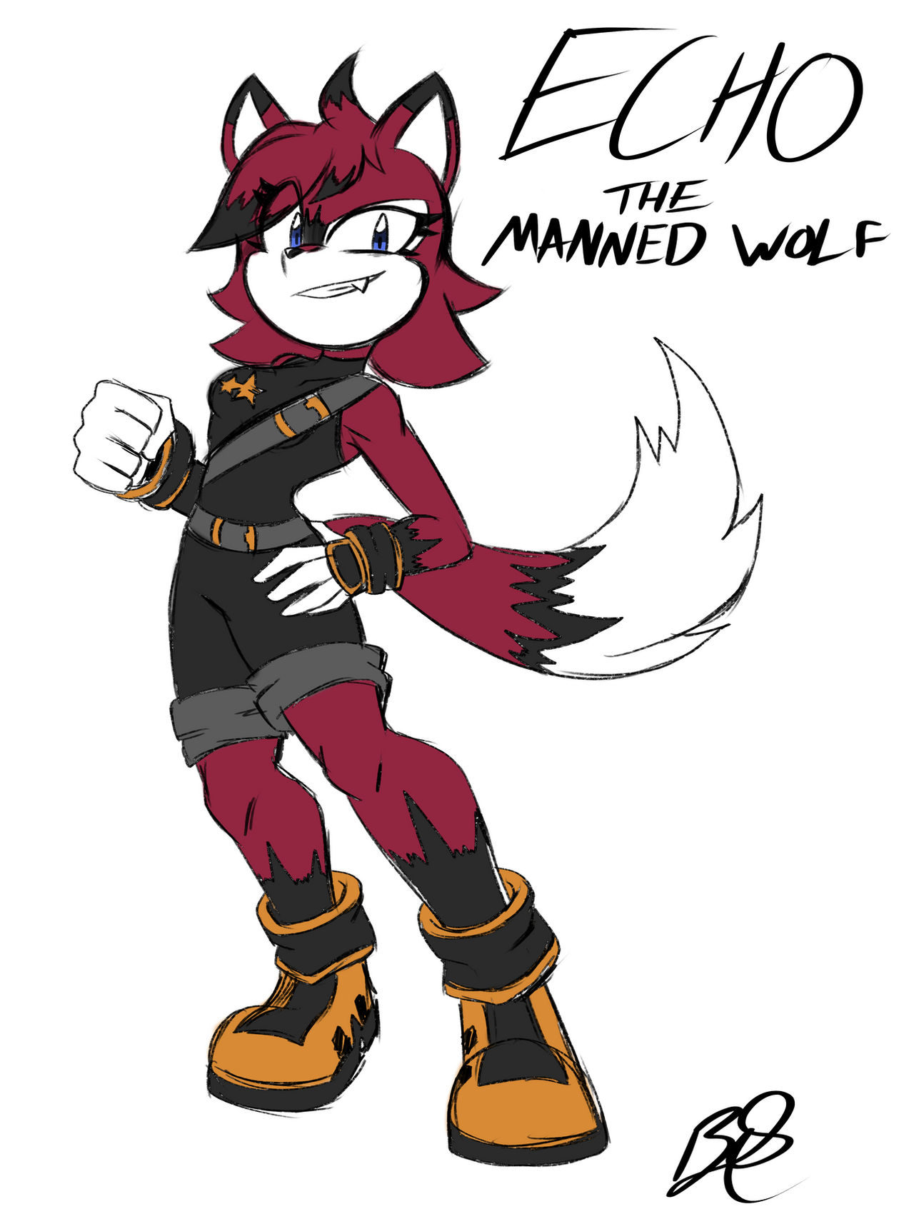 Happy Birthday SAM!!! Echo the Manned Wolf!