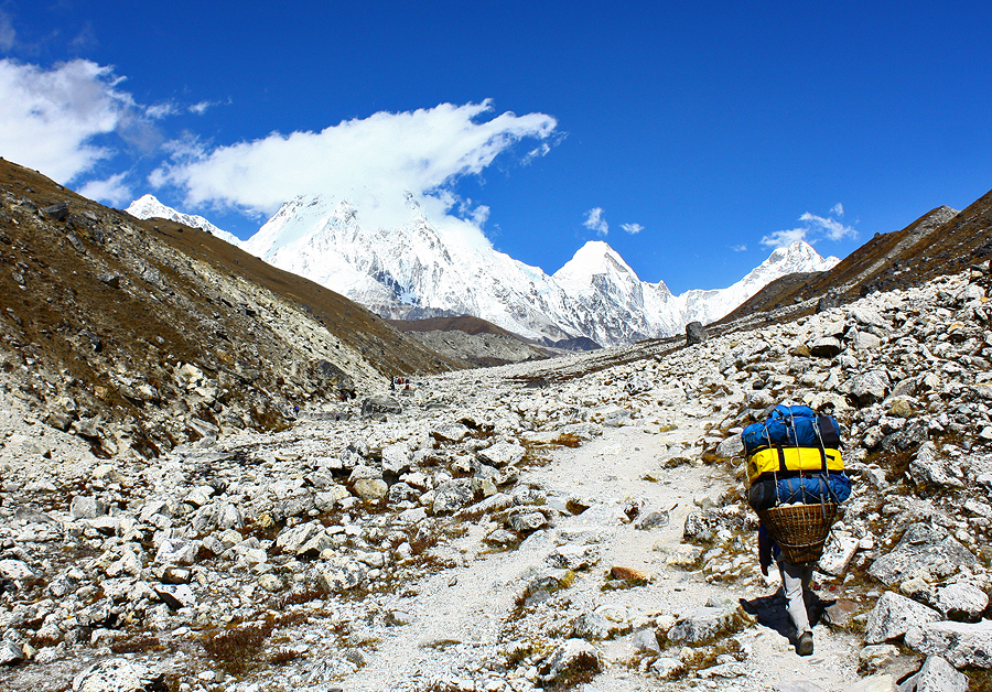 Himalayan Porter