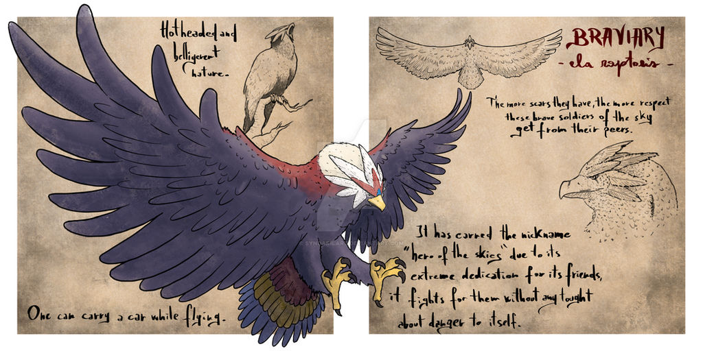 Realistic Braviary by SyndarilArt on DeviantArt