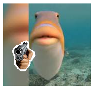 Trigger(gun)fish