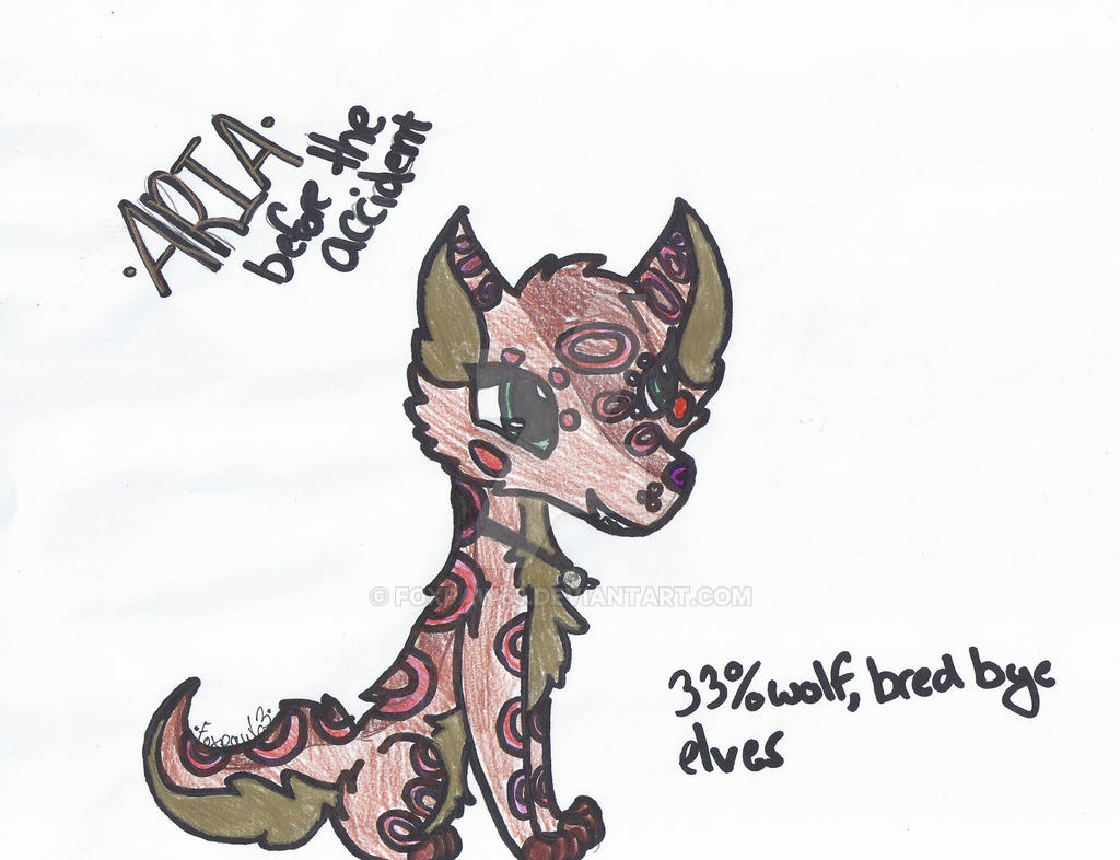 Aria (before accident) by Foxpaw63 on DeviantArt