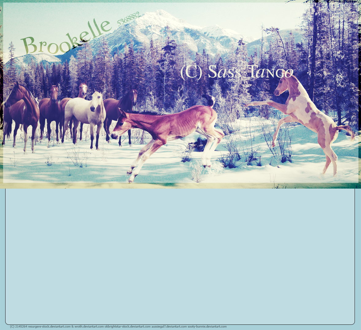 Snow Foals